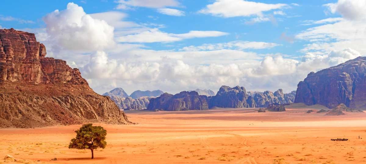 Wadi Rum Bubble Tent & Bedouin Style Kültér fotó